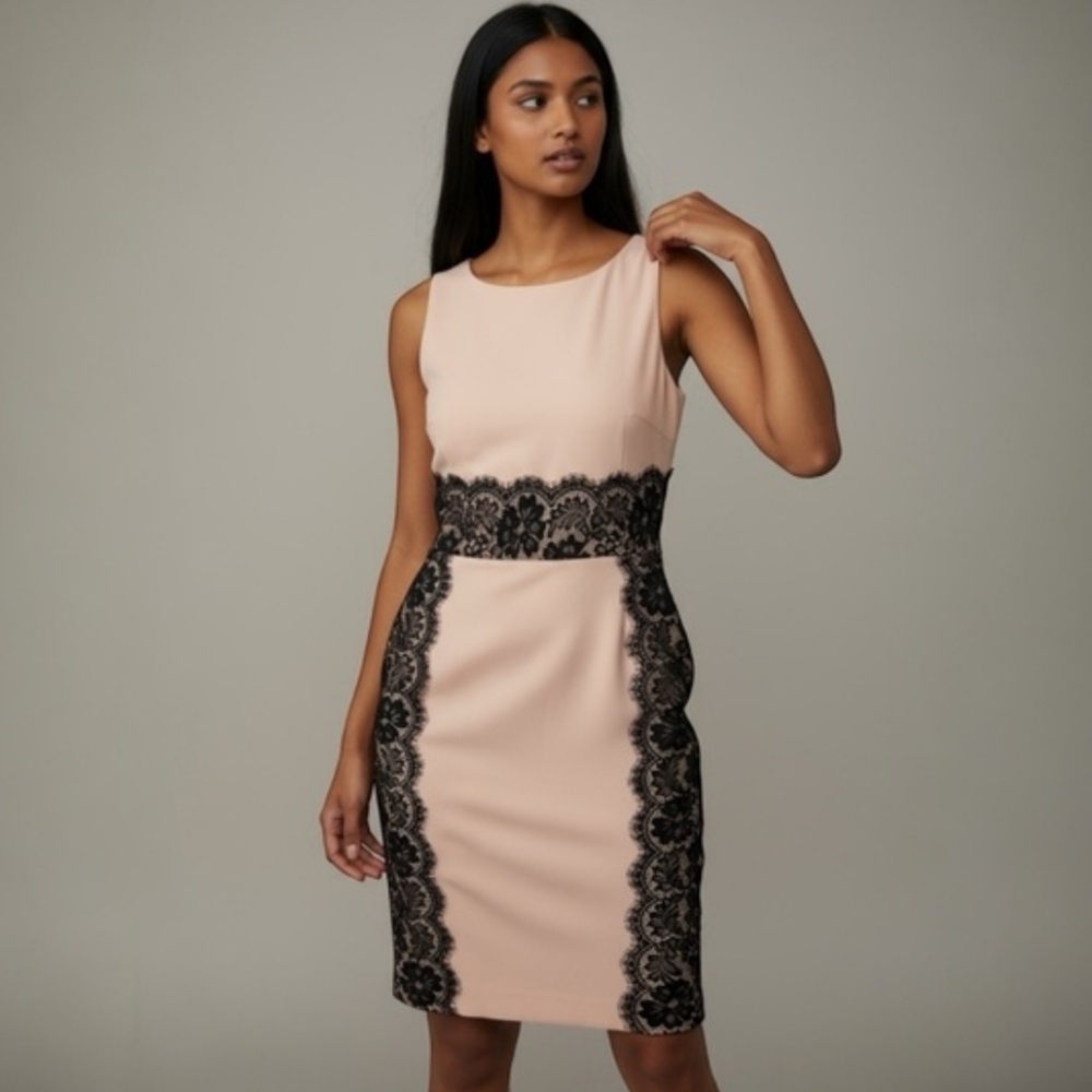 The Limited Lace Accent Dress